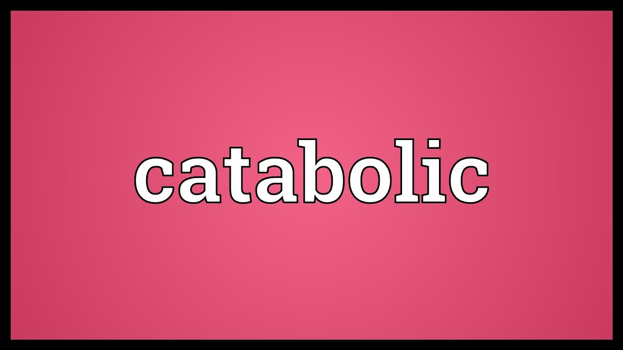 You are currently viewing Catabolic Meaning