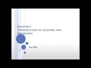Read more about the article Chapter 1 Introduction to Anatomy and Physiology