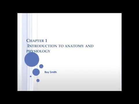 You are currently viewing Chapter 1 Introduction to Anatomy and Physiology