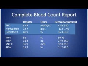 Read more about the article Complete Blood Count