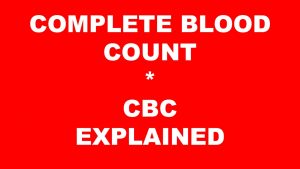 Complete Blood Count CBC Explained