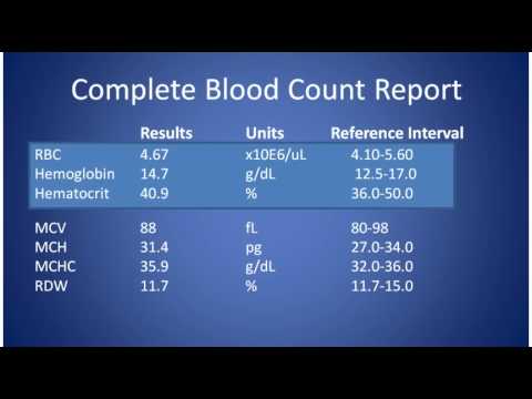 You are currently viewing Complete Blood Count