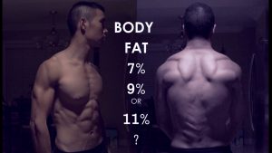 Read more about the article DEXA Scan BODY FAT Test Results – 7% 9% or 11%