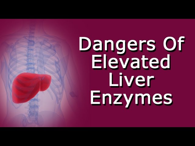You are currently viewing Dangers Of Elevated Liver Enzymes