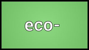 Read more about the article Eco- Meaning