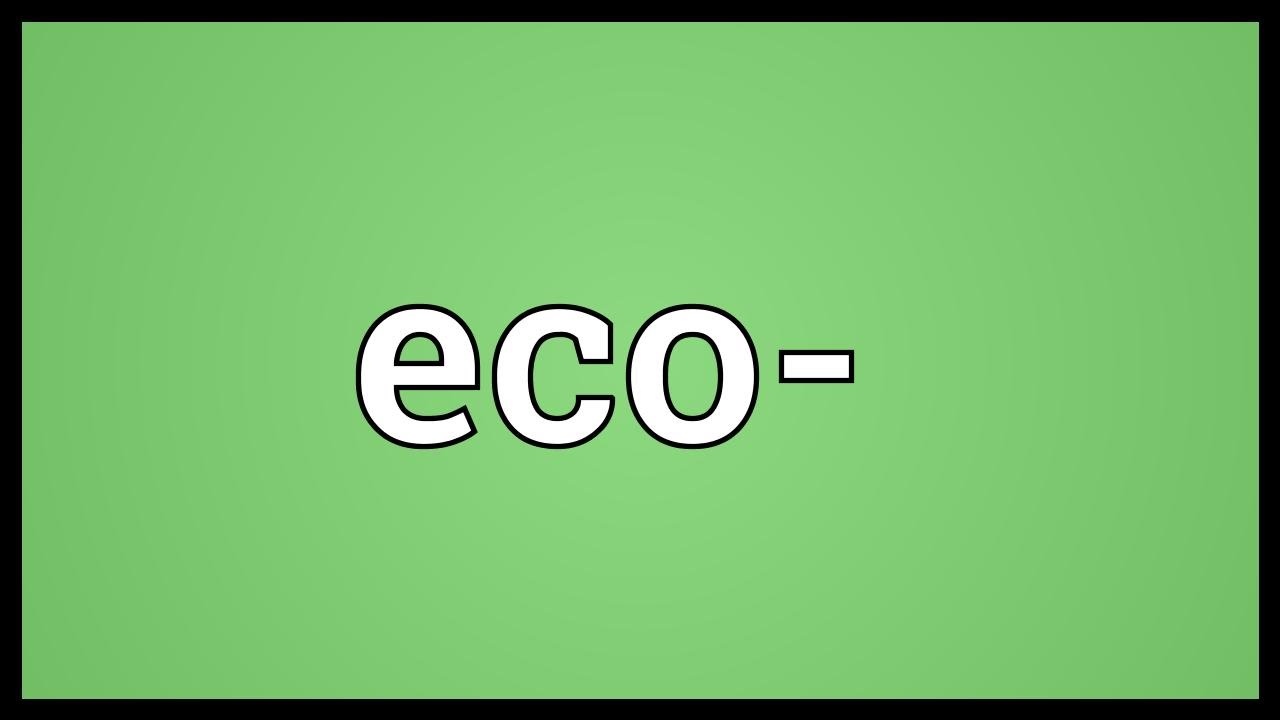 You are currently viewing Eco- Meaning