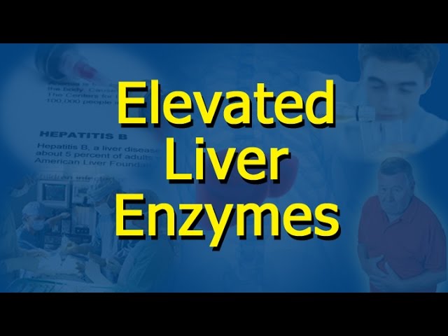 You are currently viewing Elevated Liver Enzymes
