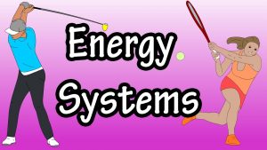 Read more about the article Energy Systems – ATP Energy In The Body – Adenosine Triphosphate – Glycolysis