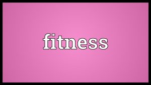 Fitness Meaning
