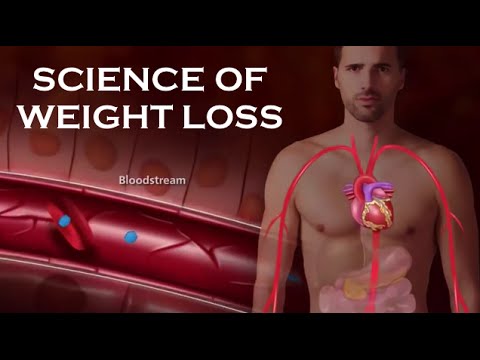 You are currently viewing HOW INSULIN WORKS – Science of WEIGHT LOSS