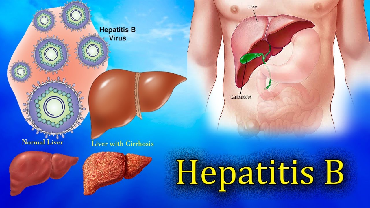 You are currently viewing Hepatitis B ,Liver Function test Harib Diagnostic lab
