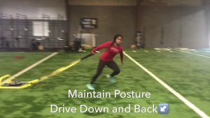 High Definition Sports Lateral Sled Drag