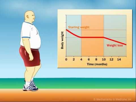 You are currently viewing How Does Exercise Impact Weight Loss?