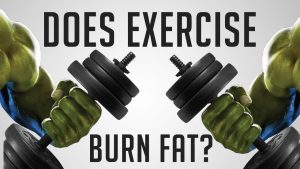 Read more about the article How Does Exercise Really Burn Fat? (Exercise vs DIET)