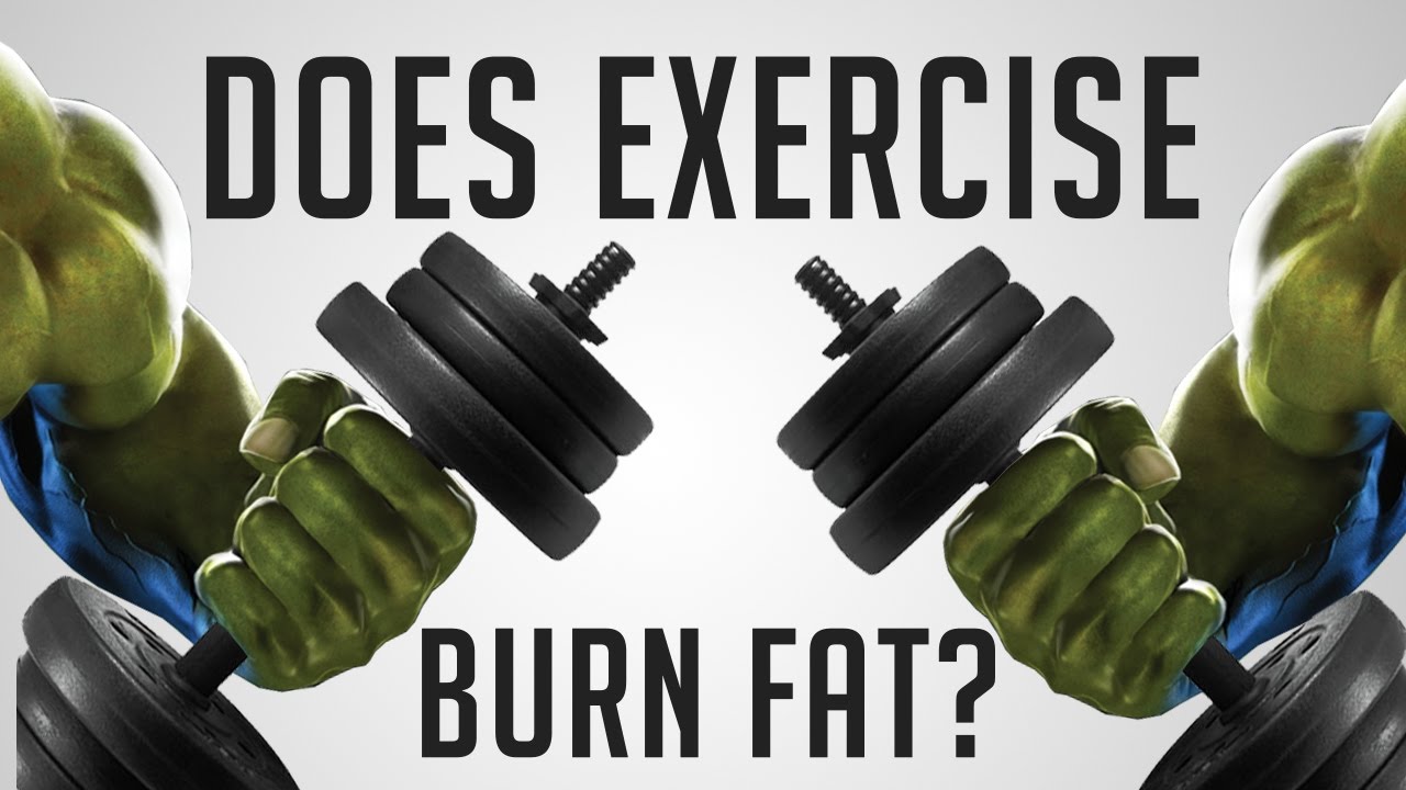 You are currently viewing How Does Exercise Really Burn Fat? (Exercise vs DIET)