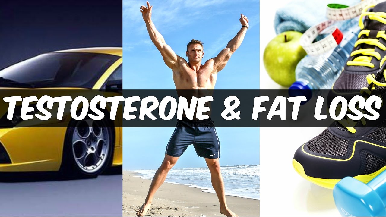 You are currently viewing How Testosterone Affects Fat Loss: Real Science of Low-T | Thomas DeLauer