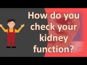 How do you check your kidney function ?