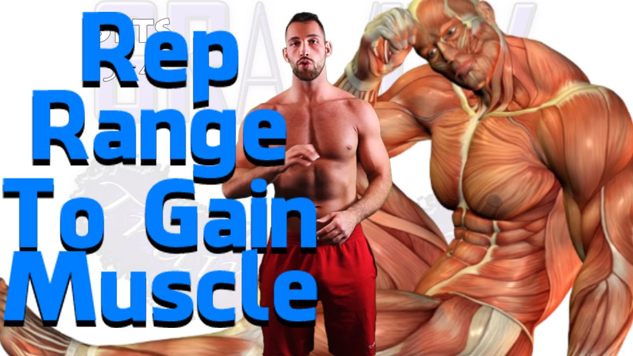 You are currently viewing How many sets and reps to build muscle | for size, mass, strength