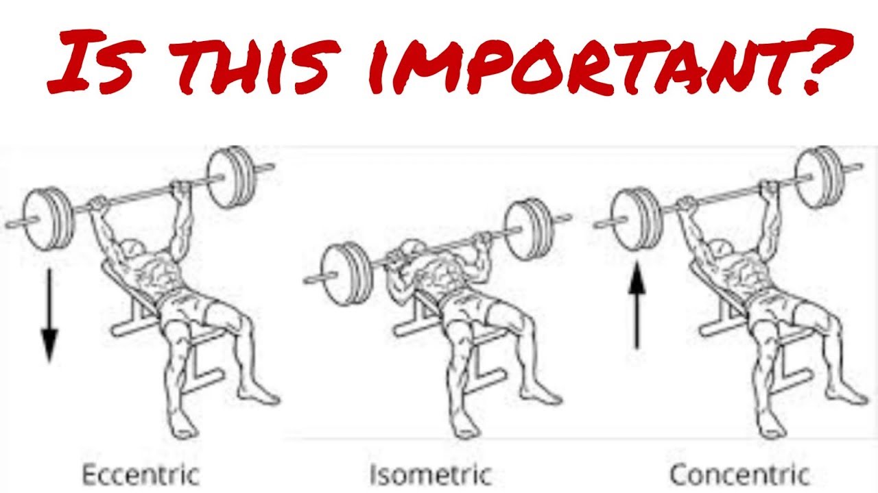 You are currently viewing How to use Eccentric, Concentric, Isometric Exercise – What that means – Muscle Force Production