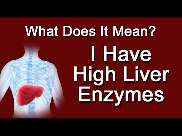 You are currently viewing I Have High Liver Enzyme Levels. What Does It Mean?