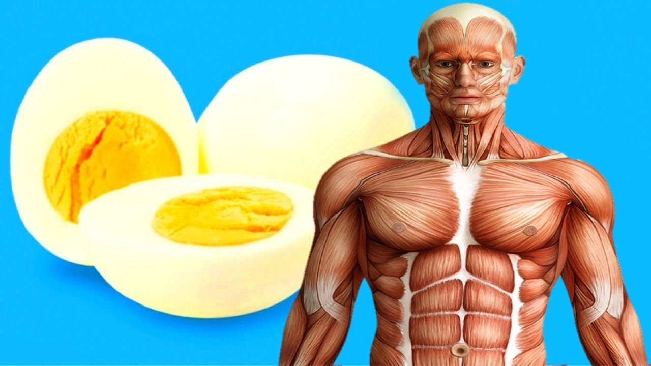 You are currently viewing If You Eat 2 Eggs at Breakfast For a Month, This is What Happens to Your Body