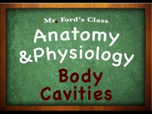 Read more about the article Introduction To Anatomy Physiology: Body Cavities (01:07)