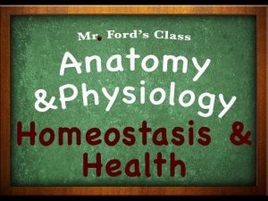Introduction To Anatomy Physiology: Homeostasis & Health (01:05)