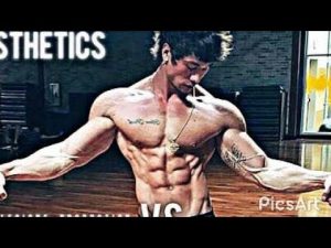 Jon Skywalker “The Definition Of Aesthetics” | Fitness & Bodybuilding Motivation
