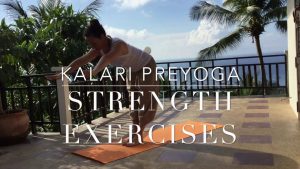 Read more about the article Kalari Strenght Excesises