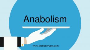 Read more about the article Learn how to say this word: “Anabolism”