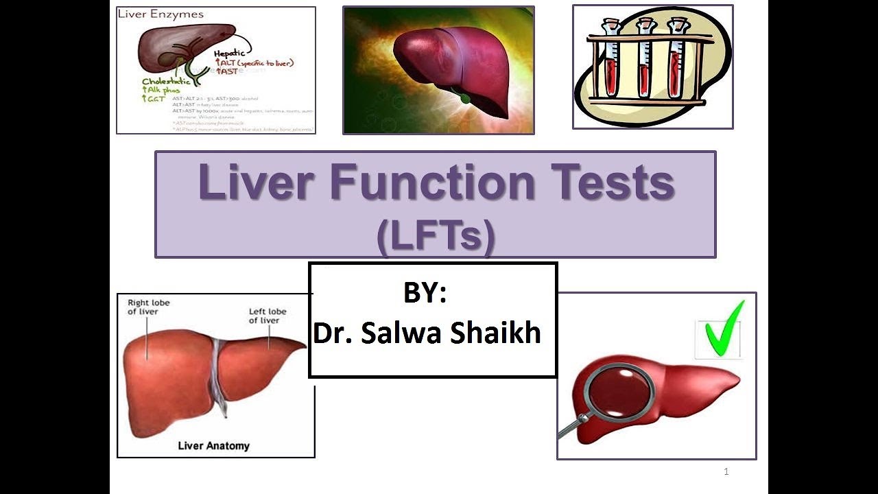 You are currently viewing Liver Function Test (LFT) explained by Dr. Salwa Shaikh
