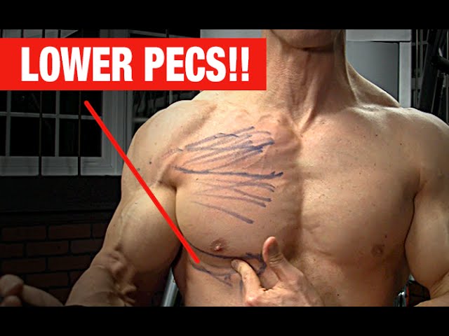 You are currently viewing Lower Pec Punishing Exercise (NO MORE SAGGY CHEST!)