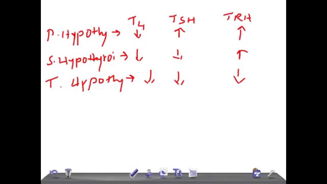 You are currently viewing Medical Video Lecture: How to diagnose thyroid diseases quickly with T3,T4, TSH, TRH