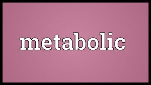 Read more about the article Metabolic Meaning