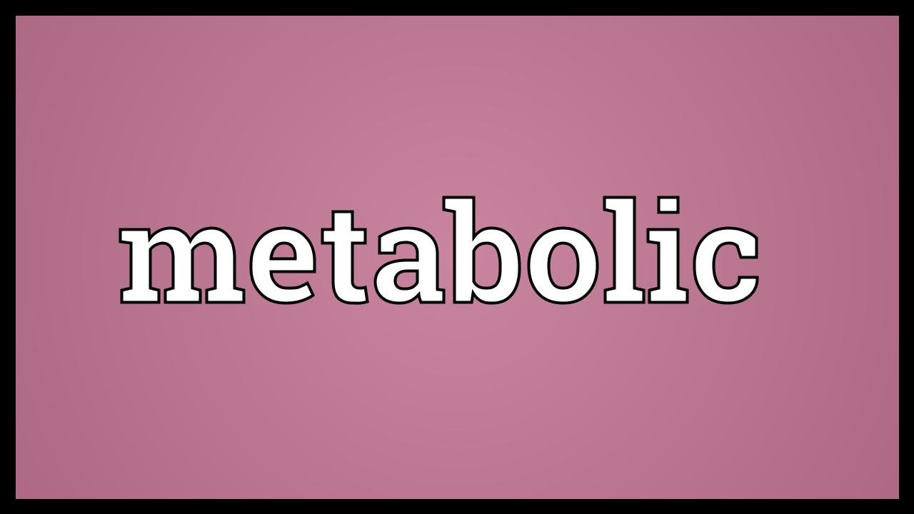 You are currently viewing Metabolic Meaning