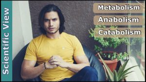 Metabolism, Anabolism, Catabolism – SCIENTIFIC VIEW | by Abhinav Tonk