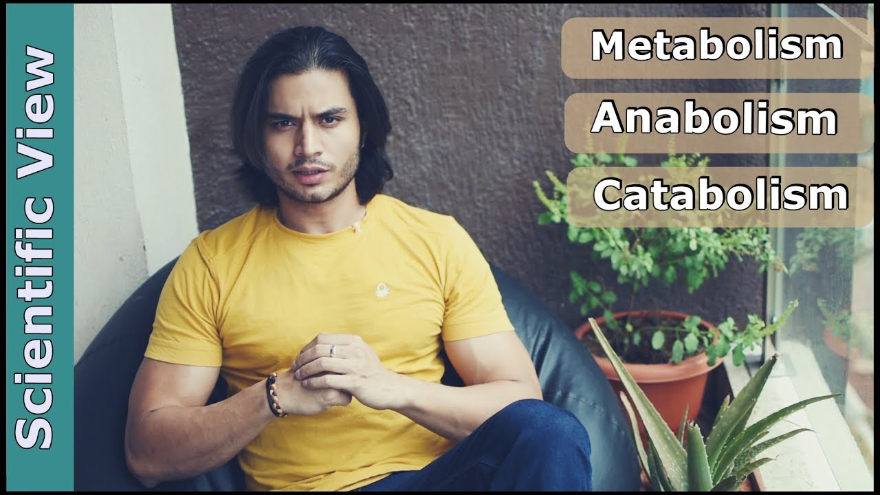 You are currently viewing Metabolism, Anabolism, Catabolism – SCIENTIFIC VIEW | by Abhinav Tonk