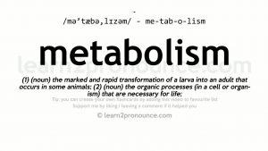 Read more about the article Metabolism pronunciation and definition