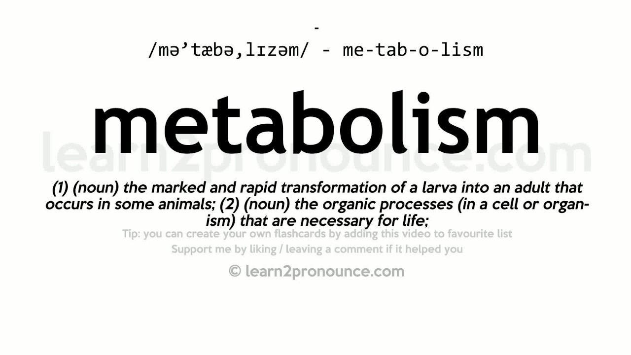 You are currently viewing Metabolism pronunciation and definition