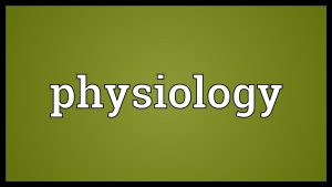 Physiology Meaning