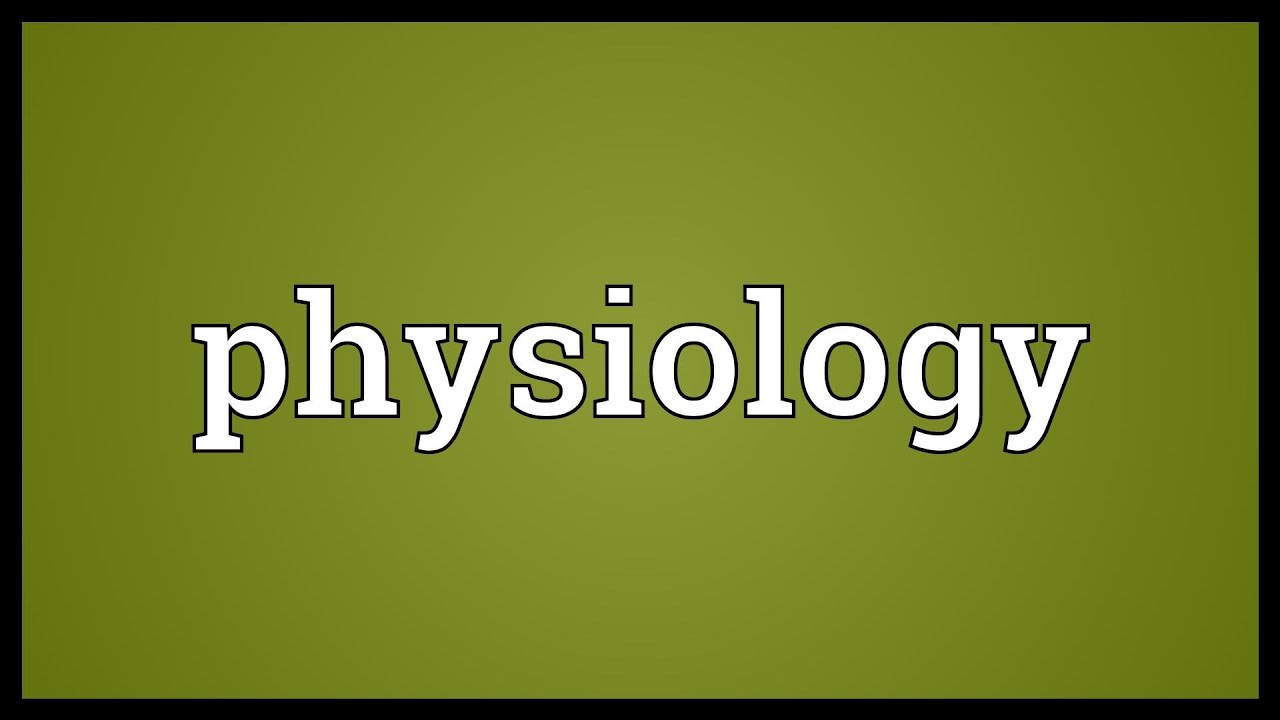 You are currently viewing Physiology Meaning