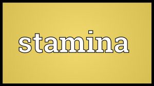 Stamina Meaning