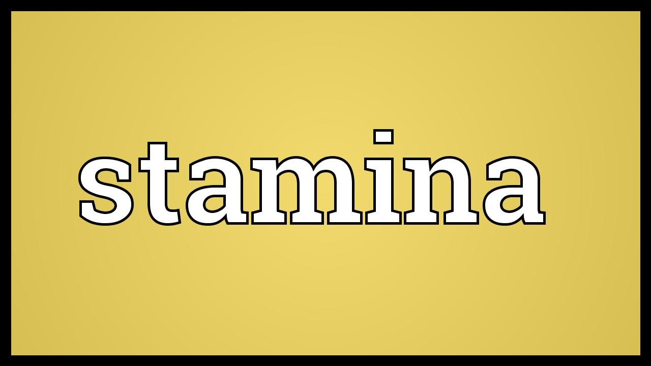 You are currently viewing Stamina Meaning