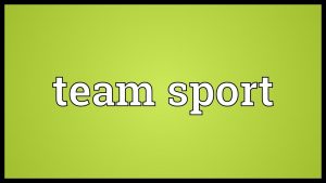 Read more about the article Team sport Meaning