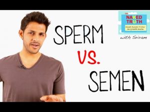 The Difference Between Sperm & Semen – Episode 20