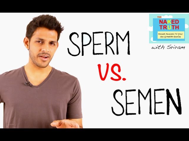 You are currently viewing The Difference Between Sperm & Semen – Episode 20
