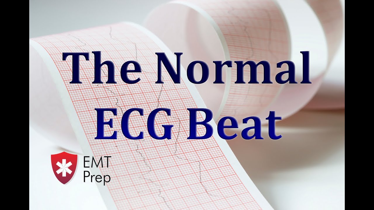 You are currently viewing The Normal ECG Beat – EMTprep.com