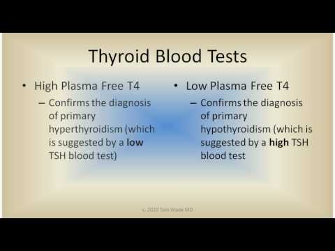 You are currently viewing Thyroid Blood Tests