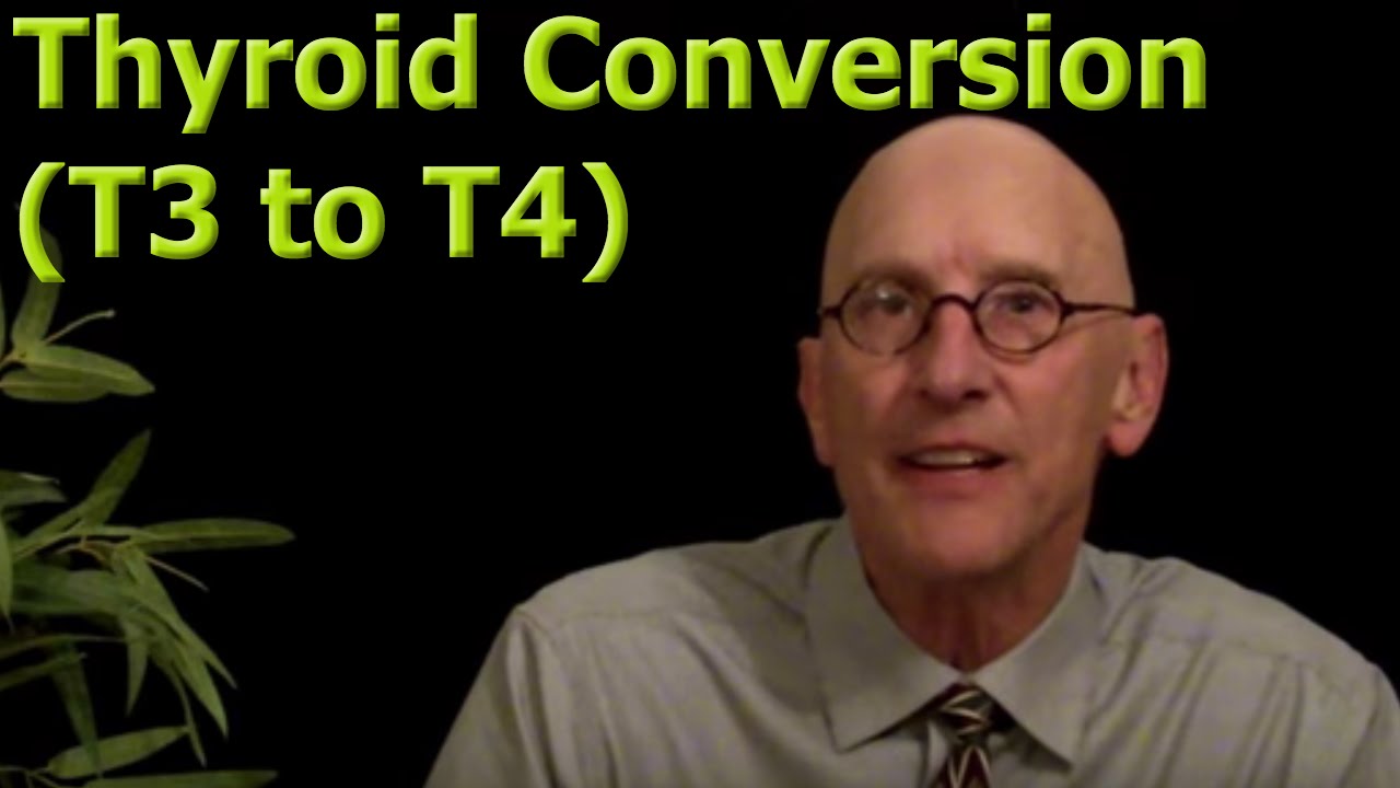 You are currently viewing Thyroid T4 to T3 Conversion
