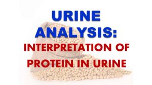 Read more about the article URINE ANALYSIS: Presence of PROTEIN in urine